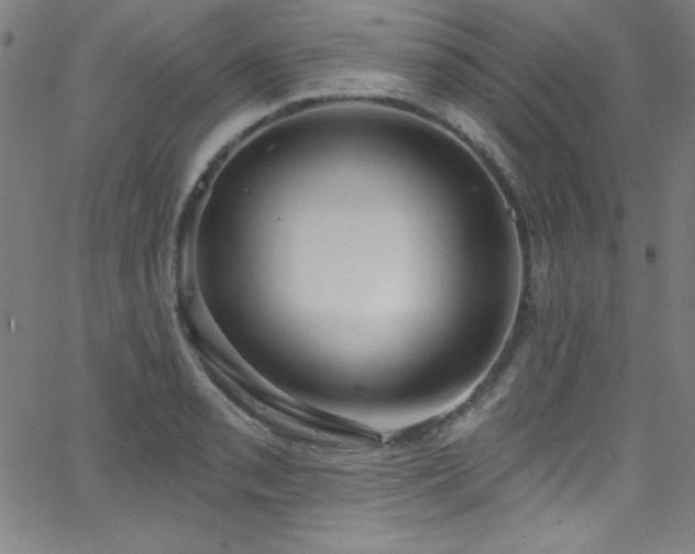 X0000068771085200604281232