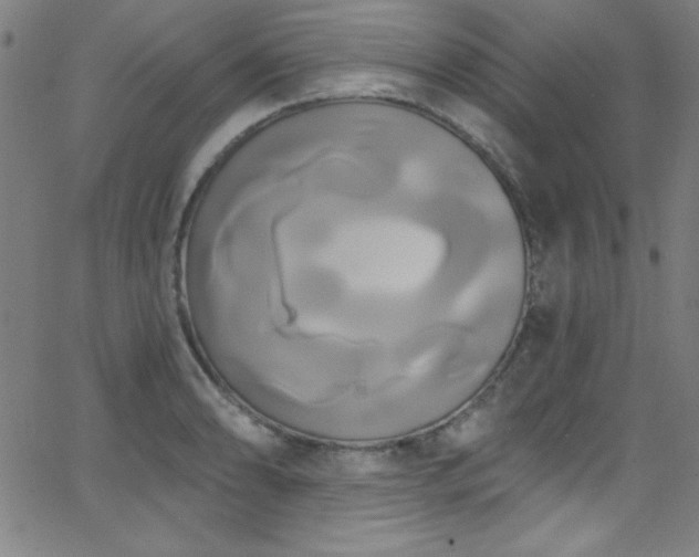 X0000068771086200604281232