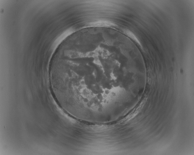 X0000068771087200604281232