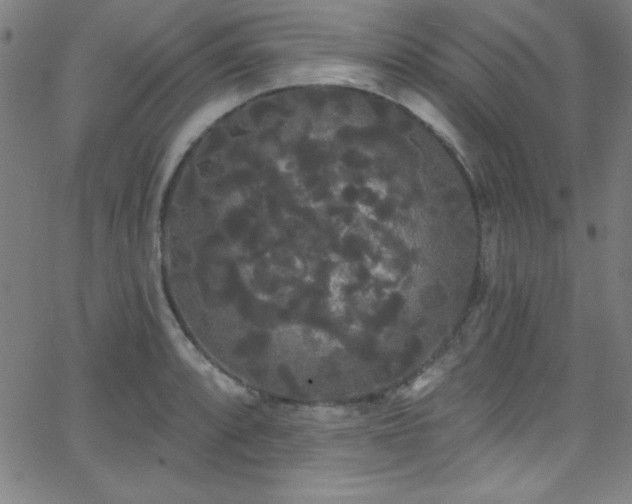 X0000068771088200604281232