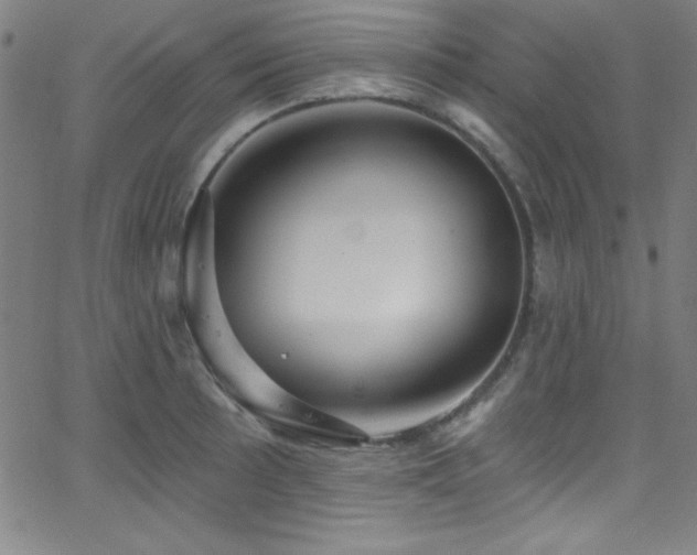 X0000068771089200604281232