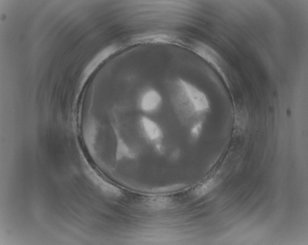 X0000068771090200604281232