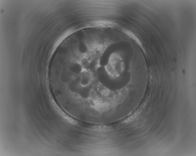 X0000068771091200604281232