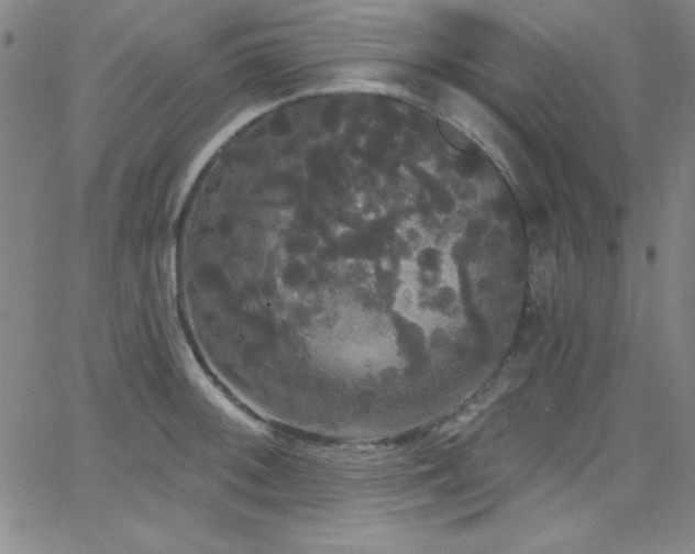 X0000068771092200604281232