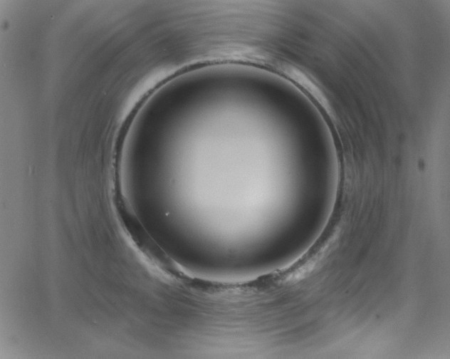 X0000068771093200604281232