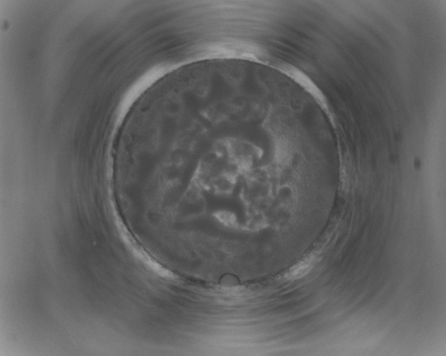 X0000068771096200604281232