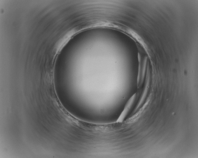 X0000068771097200604281232