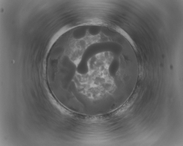 X0000068771099200604281232