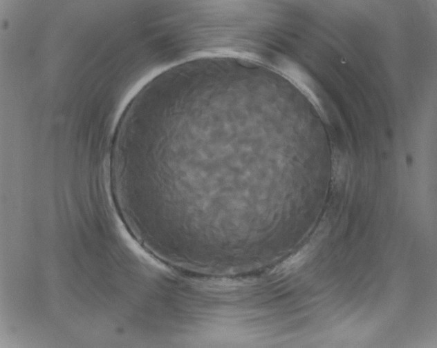 X0000068771100200604281232