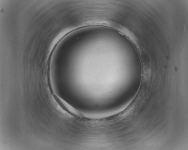 X0000068771102200604281232