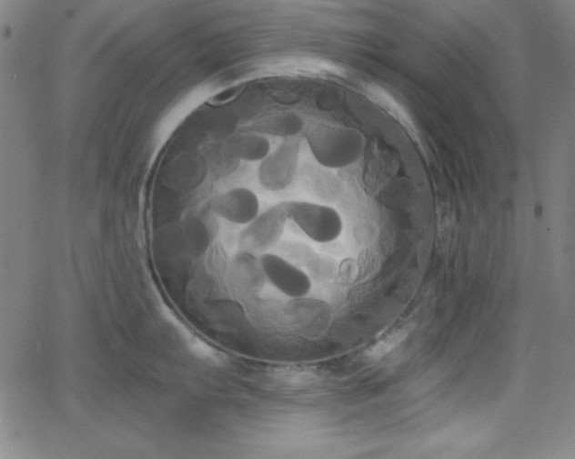 X0000068771103200604281232