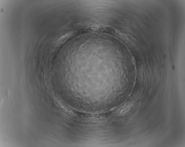 X0000068771105200604281231