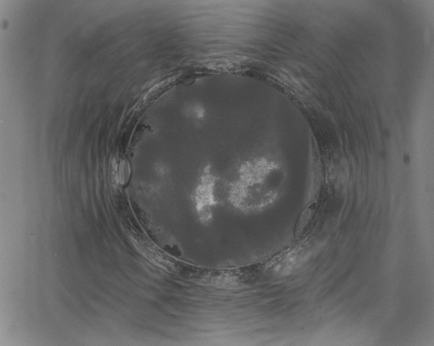 X0000068771106200604281231