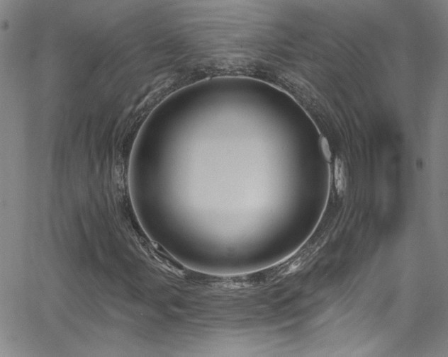 X0000068771107200604281231