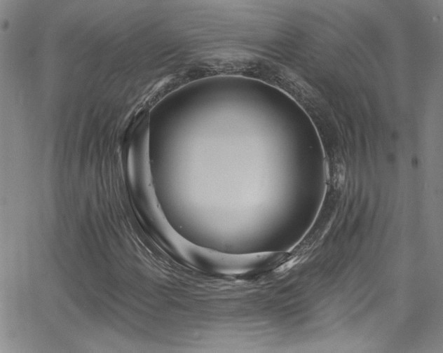 X0000068771108200604281231