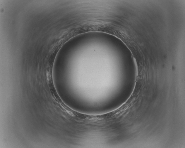 X0000068771109200604281231