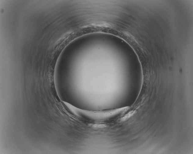 X0000068771110200604281231