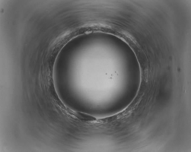 X0000068771111200604281231