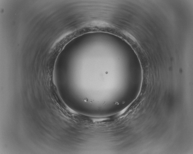 X0000068771112200604281231