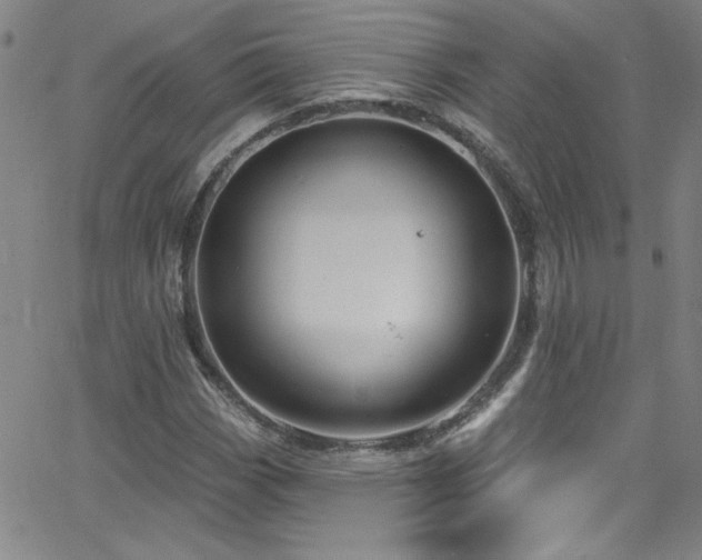 X0000068771113200604281231