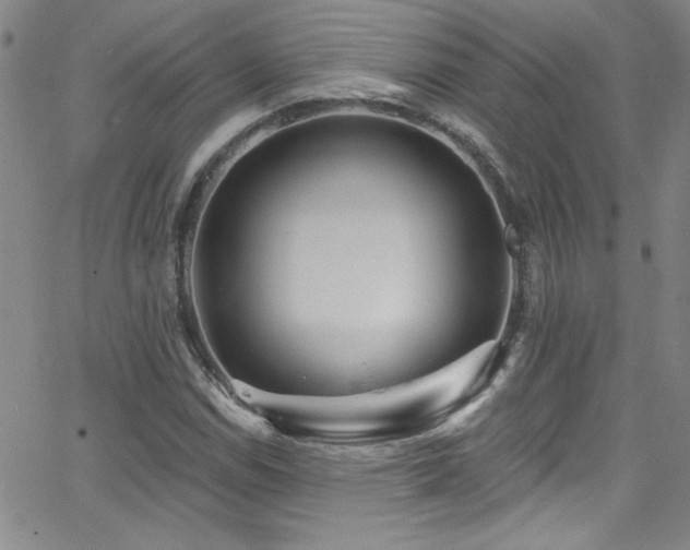 X0000068771114200604281231