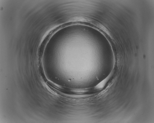 X0000068771116200604281231