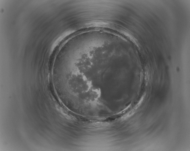 X0000068771117200604281231