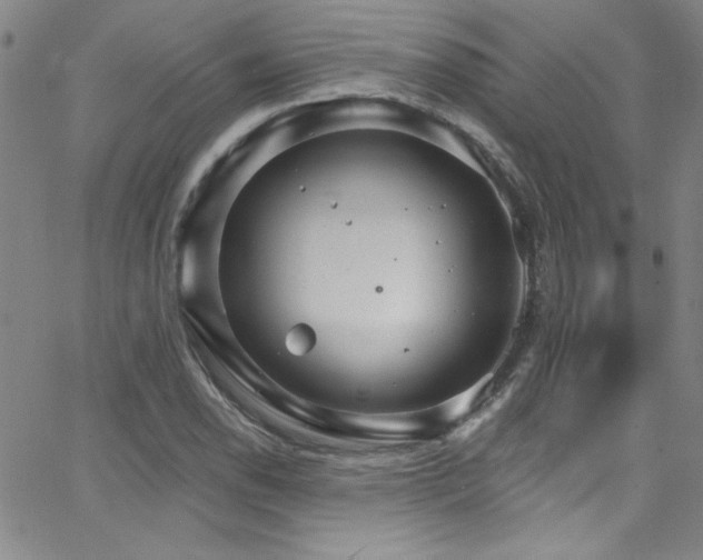 X0000068771118200604281231