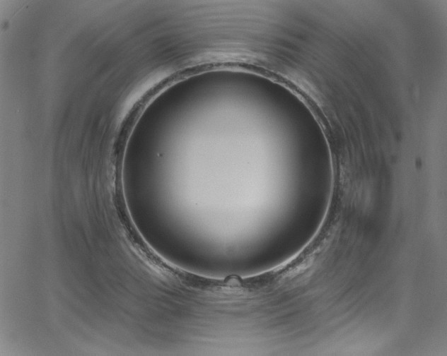 X0000068771119200604281231