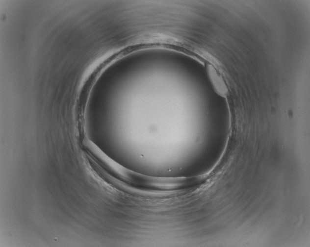 X0000068771120200604281231