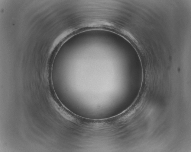 X0000068771122200604281231