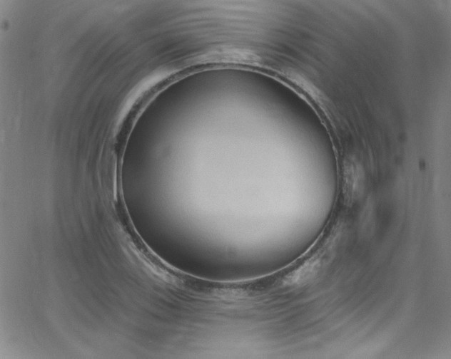 X0000068771123200604281231