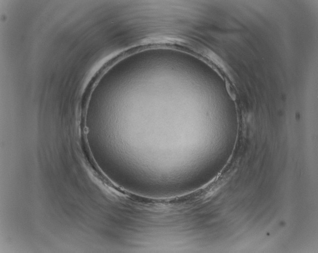 X0000068771124200604281231