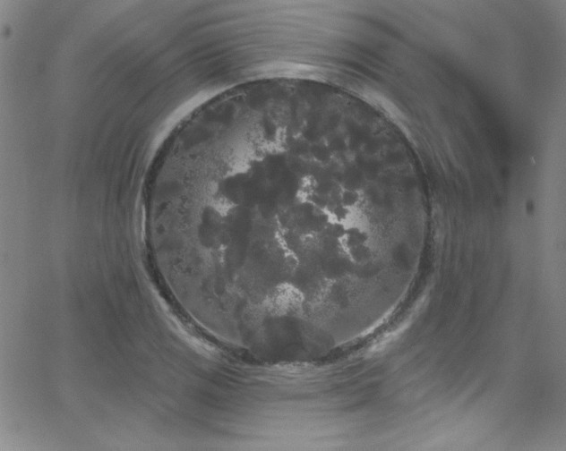 X0000068771125200604281231