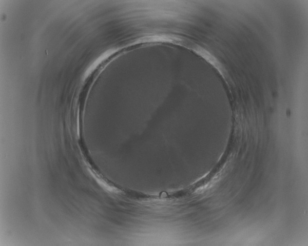 X0000068771127200604281231