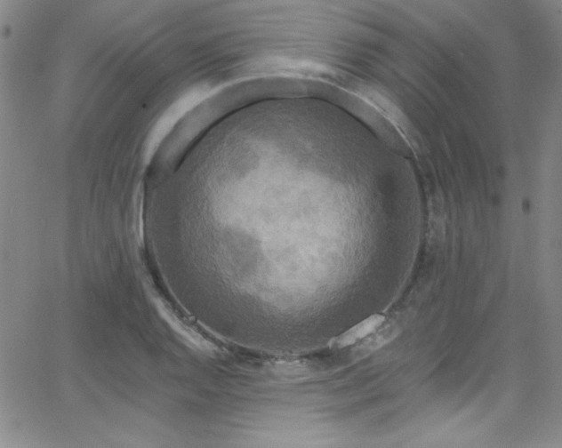 X0000068771128200604281231