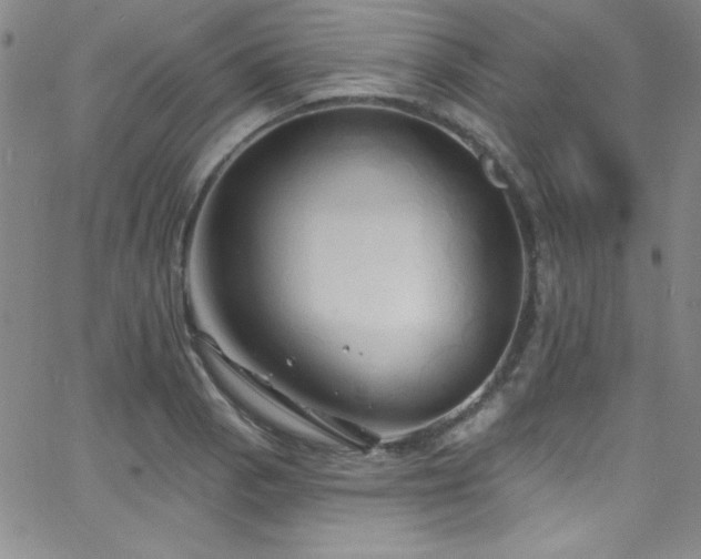 X0000068771129200604281231