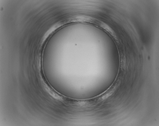 X0000068771130200604281231