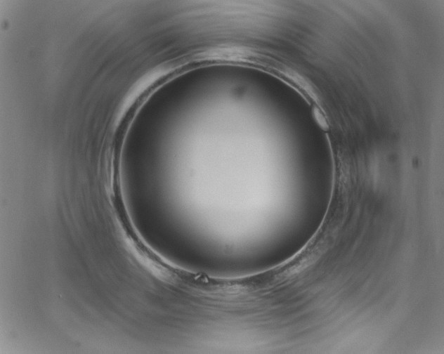 X0000068771131200604281231