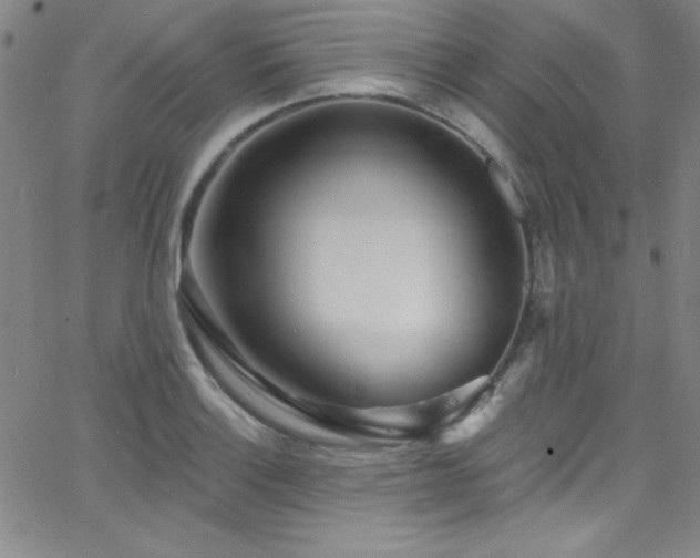 X0000068771132200604281231