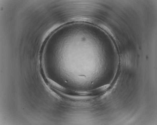 X0000068771133200604281231