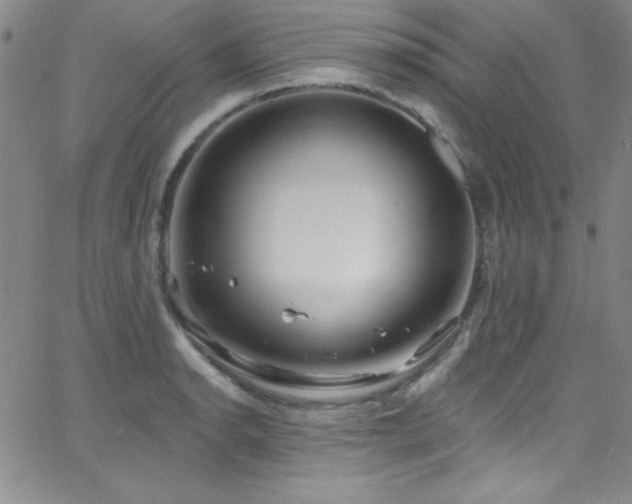 X0000068771134200604281231