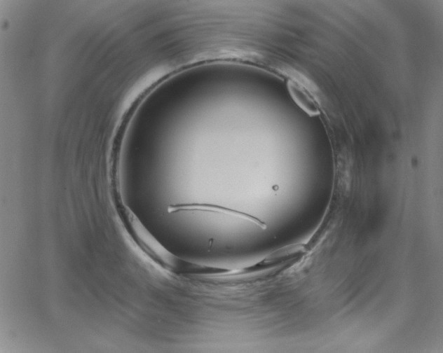 X0000068771135200604281231