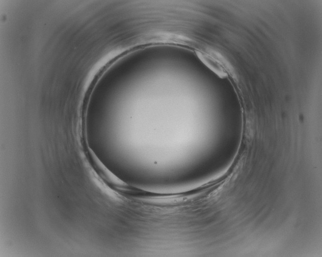 X0000068771136200604281231