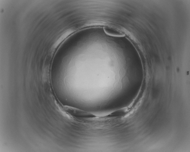 X0000068771137200604281231