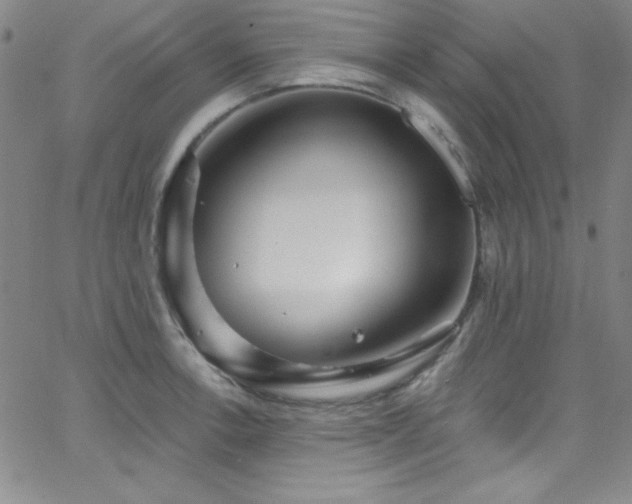 X0000068771138200604281231