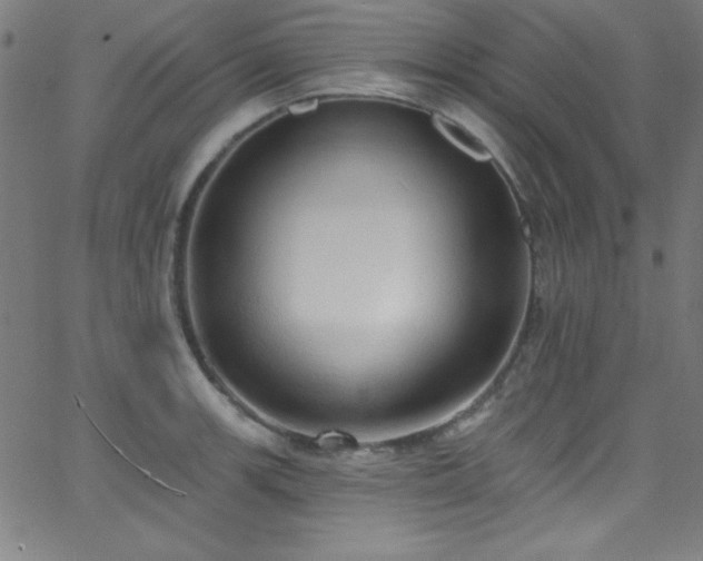 X0000068771139200604281231