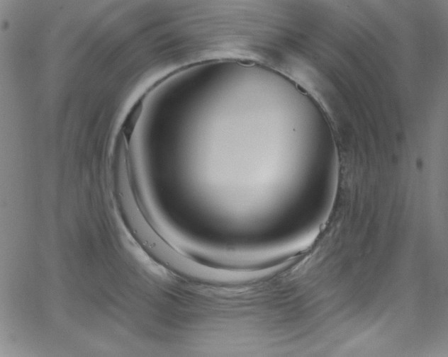 X0000068771140200604281231