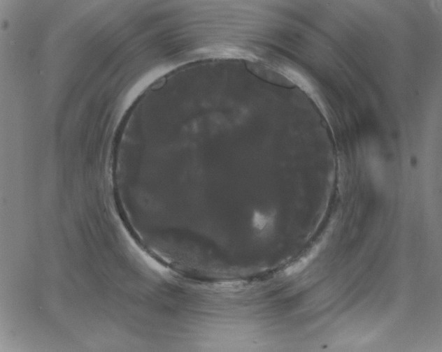 X0000068771141200604281231