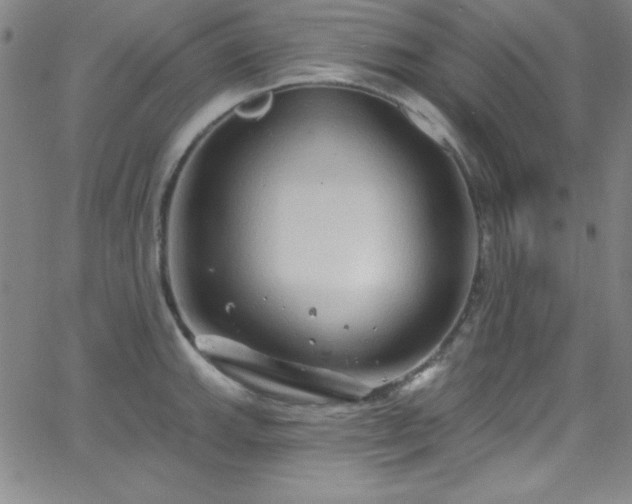 X0000068771143200604281231